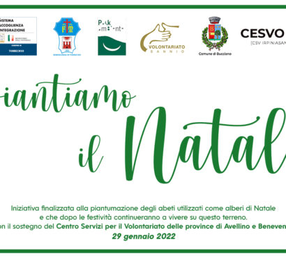 “Piantiamo il Natale”. Sabato iniziativa al Parkambiente di Bucciano