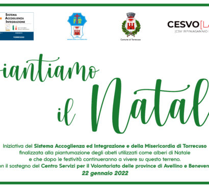 “Piantiamo il Natale”. Con il CSV A Torrecuso gli alberi di natale trovano spazio in paese e continueranno a vivere