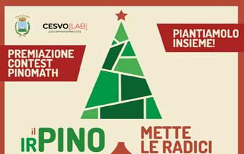 “Piantiamo il Natale”. Ad Avellino il Pino Irpino mette le radici