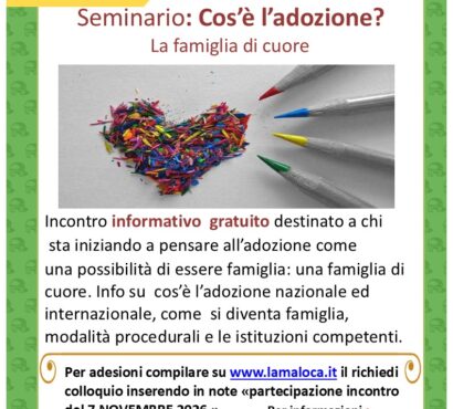 Sabato 7 novembre  2026, dalle ore 09:30 alle 12:00, un incontro informativo online gratuito sulle adozioni