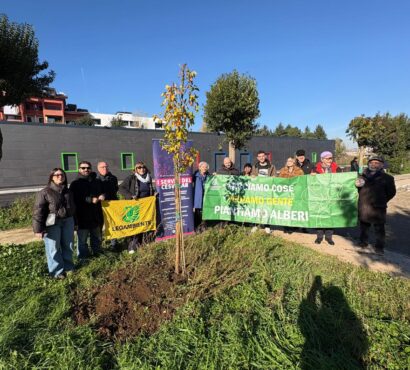 Festa dell’albero – le foto