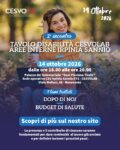 Secondo incontro Tavolo Disabilità CESVOLAB Aree Interne Irpinia Sannio – Dopo di noi e Budget di Salute.
